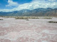 the pink colored desert is empty and has mountains in the background, and water in the foreground