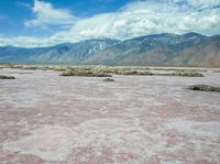 the pink colored desert is empty and has mountains in the background, and water in the foreground