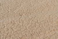 this is a cracked mud road with small puddles of mud on it in the foreground