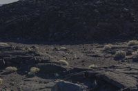 a motorcycle is traveling through the mountains in black rock terrain to the left, a big piece of stone is in the middle of it, and some plants are growing from ground