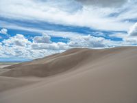 Open Spaces in the USA: Exploring the Desert Landscape