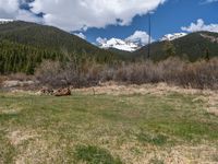 an image of a field that has snow on the mountain top in the background and a stream running through the forest