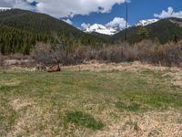 an image of a field that has snow on the mountain top in the background and a stream running through the forest