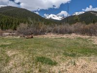 an image of a field that has snow on the mountain top in the background and a stream running through the forest