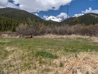 an image of a field that has snow on the mountain top in the background and a stream running through the forest