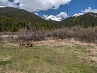 an image of a field that has snow on the mountain top in the background and a stream running through the forest