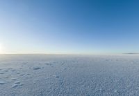 an empty sandy plain under a clear blue sky with a person on it using an umbrella