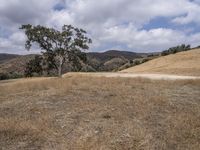 Open Space and Nature: USA's Beautiful Landscape