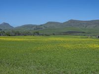 USA Open Space: Rural Grass and Fields