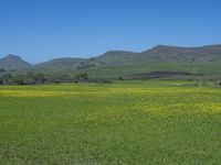 USA Open Space: Rural Grass and Fields