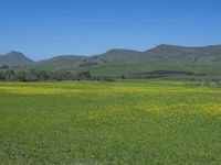 USA Open Space: Rural Grass and Fields