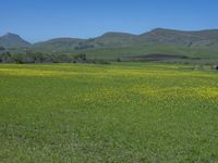 USA Open Space: Rural Grass and Fields