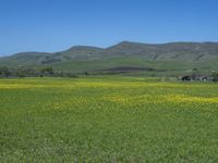 USA Open Space: Rural Grass and Fields