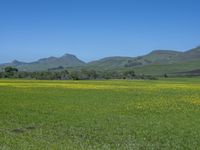 USA Open Space: Rural Grass and Fields