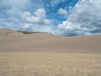 USA's Open Space: Sand Dunes Landscape