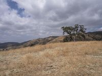 USA Open Space Vegetation Grass Mountain Landforms 001