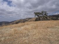 USA Open Space Vegetation Grass Mountain Landforms 002