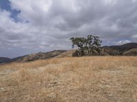 USA Open Space Vegetation Grass Mountain Landforms 004