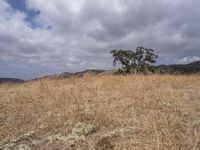 USA Open Space Vegetation Grass Mountain Landforms