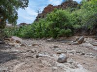 USA's Open Spaces and Mountains: A View of Clear Skies