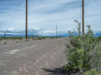 USA's Picturesque Nature: A Gravel Street Through the Landscape