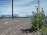 USA's Picturesque Nature: A Gravel Street Through the Landscape