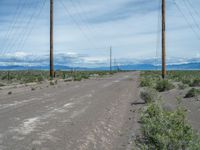 USA's Picturesque Nature: A Gravel Street Through the Landscape