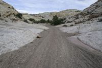 USA's Red Rock Canyonlands: A Stunning Nature View