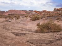 dirt road with a brush and shrubs in an arid area surrounded by red rocks in the desert