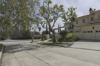 Residential Area in Los Angeles, California, USA