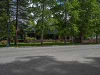 a road and trees line a residential street in a residential area in a neighborhood with no parking