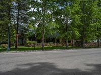 a road and trees line a residential street in a residential area in a neighborhood with no parking