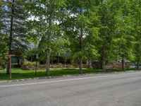 a road and trees line a residential street in a residential area in a neighborhood with no parking