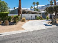 a desert home with an open lot, and tall palm trees in the driveway, with a walkway leading to the driveway and tree lined front door