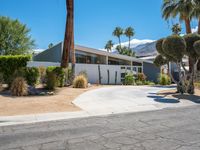 a desert home with an open lot, and tall palm trees in the driveway, with a walkway leading to the driveway and tree lined front door