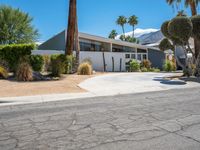 a desert home with an open lot, and tall palm trees in the driveway, with a walkway leading to the driveway and tree lined front door