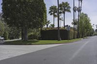 an empty road that leads to the house in the distance, and some palm trees in the middle of it