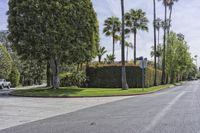 an empty road that leads to the house in the distance, and some palm trees in the middle of it