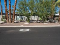 Residential Road in Suburban USA: A View of Home