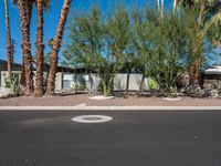 Residential Road in Suburban USA: A View of Home