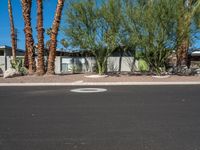 Residential Road in Suburban USA: A View of Home