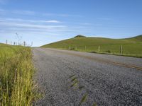 USA Road: Smooth Asphalt through Lush Grass Fields