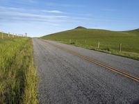 USA Road: Smooth Asphalt through Lush Grass Fields