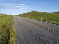 USA Road: Smooth Asphalt through Lush Grass Fields