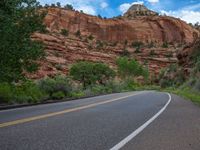 Road in the USA: Asphalt Lining through Natural Surroundings