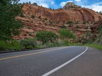 Road in the USA: Asphalt Lining through Natural Surroundings