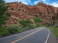 Road in the USA: Asphalt Lining through Natural Surroundings