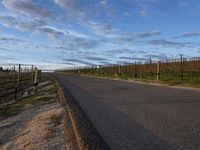 USA Road: Asphalt Rural Landscape 001