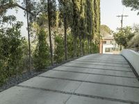 the exterior and landscape of a modern house in los angeles, california with stone and wood