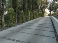 the exterior and landscape of a modern house in los angeles, california with stone and wood